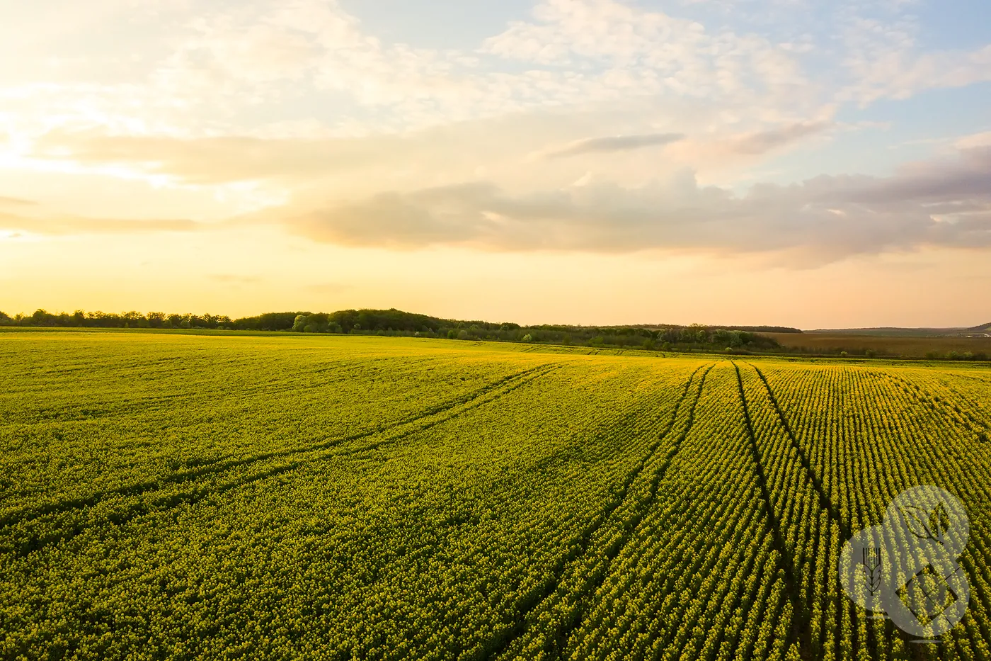 Asesoramiento agrícola Arroyo de San Serván