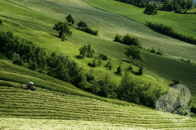 Paisaje agrícola 2 — Badajoz