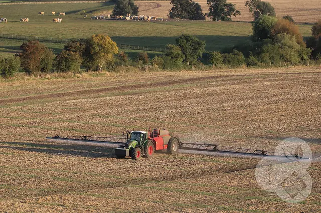 Paisaje agrícola 4 — Badajoz