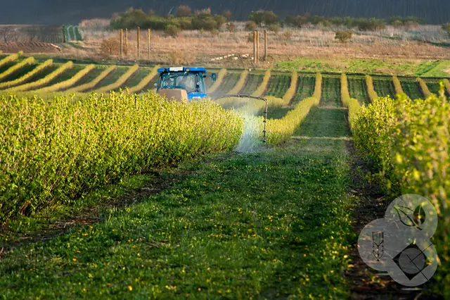 Paisaje agrícola 10 — Badajoz